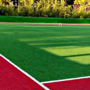 �����ƺ���